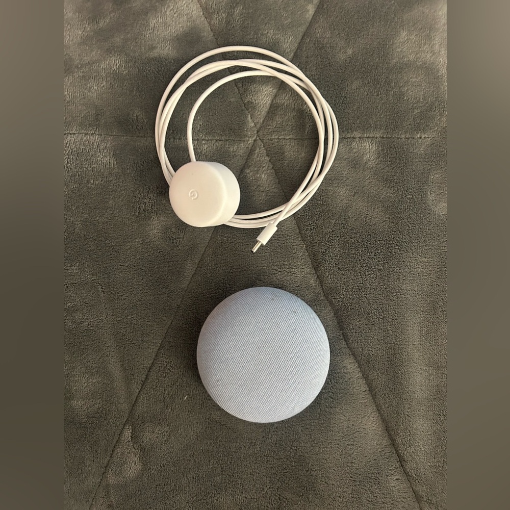 Google Nest Speaker